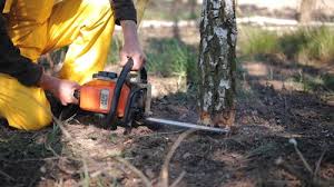 Lawn Irrigation Installation and Maintenance in Bally, PA