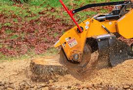 Lawn Grading and Leveling in Bally, PA